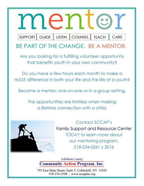 Volunteer Mentorship Programs
